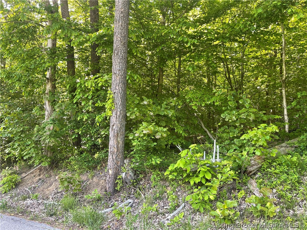 Forestry Road Henryville, IN 47126 - Photo 1 of 1