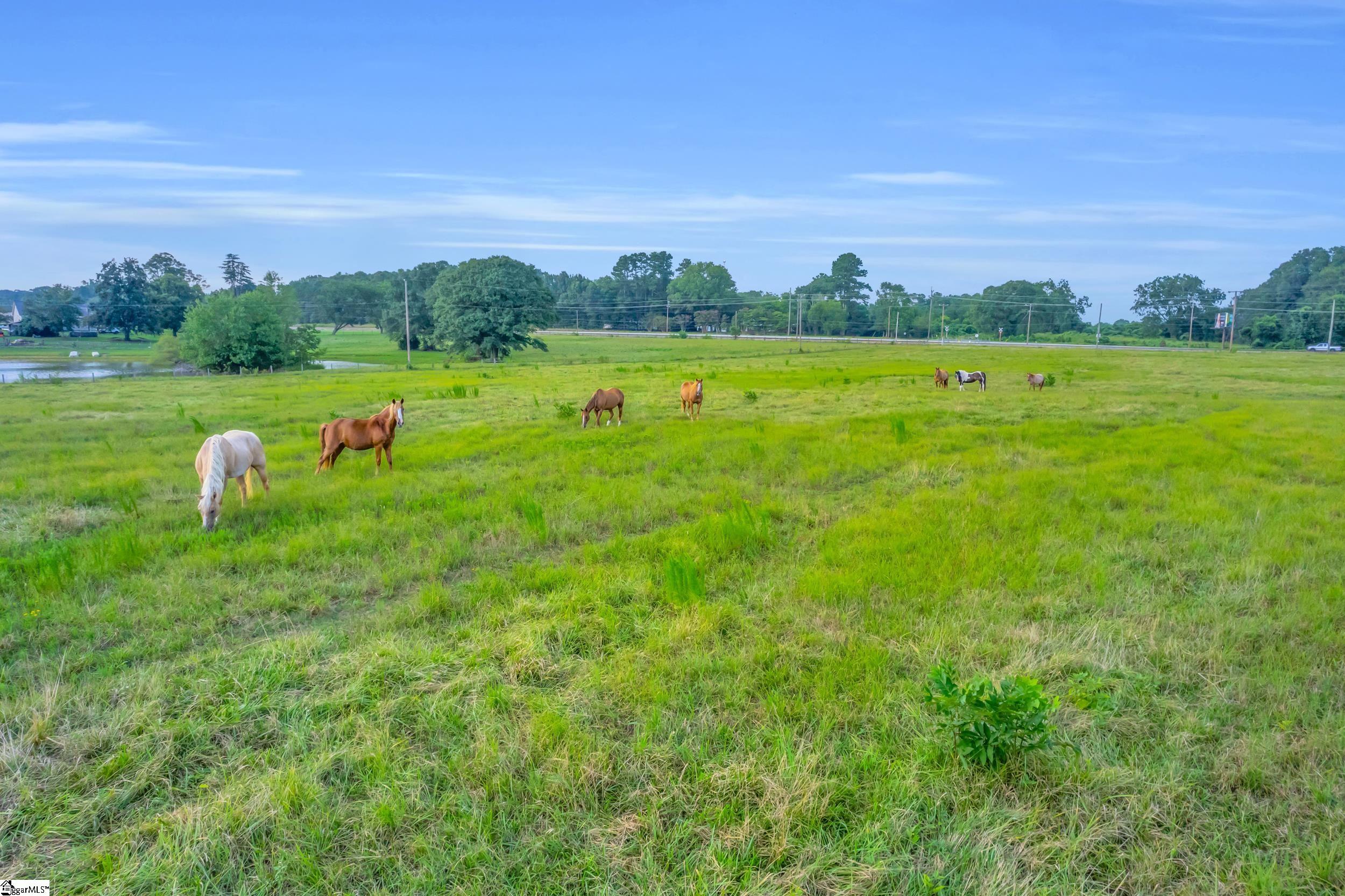 0 Docheno Road Belton, SC 29627 - Photo 19 of 31