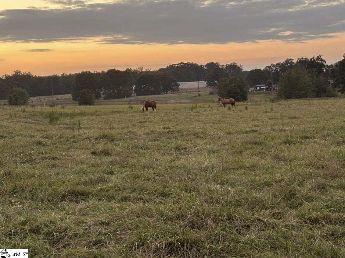 0 Docheno Road Belton, SC 29627 - Photo 9 of 31