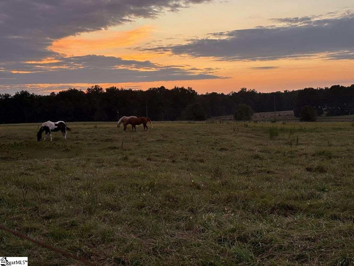 0 Docheno Road Belton, SC 29627 - Photo 10 of 31