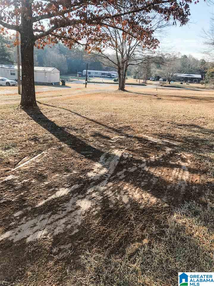 239 Clark Cutoff Wellington, AL 36279 - Photo 16 of 16