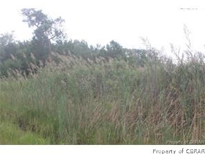 391 Knights Wood Road Diggs, VA 23045 - Photo 2 of 2
