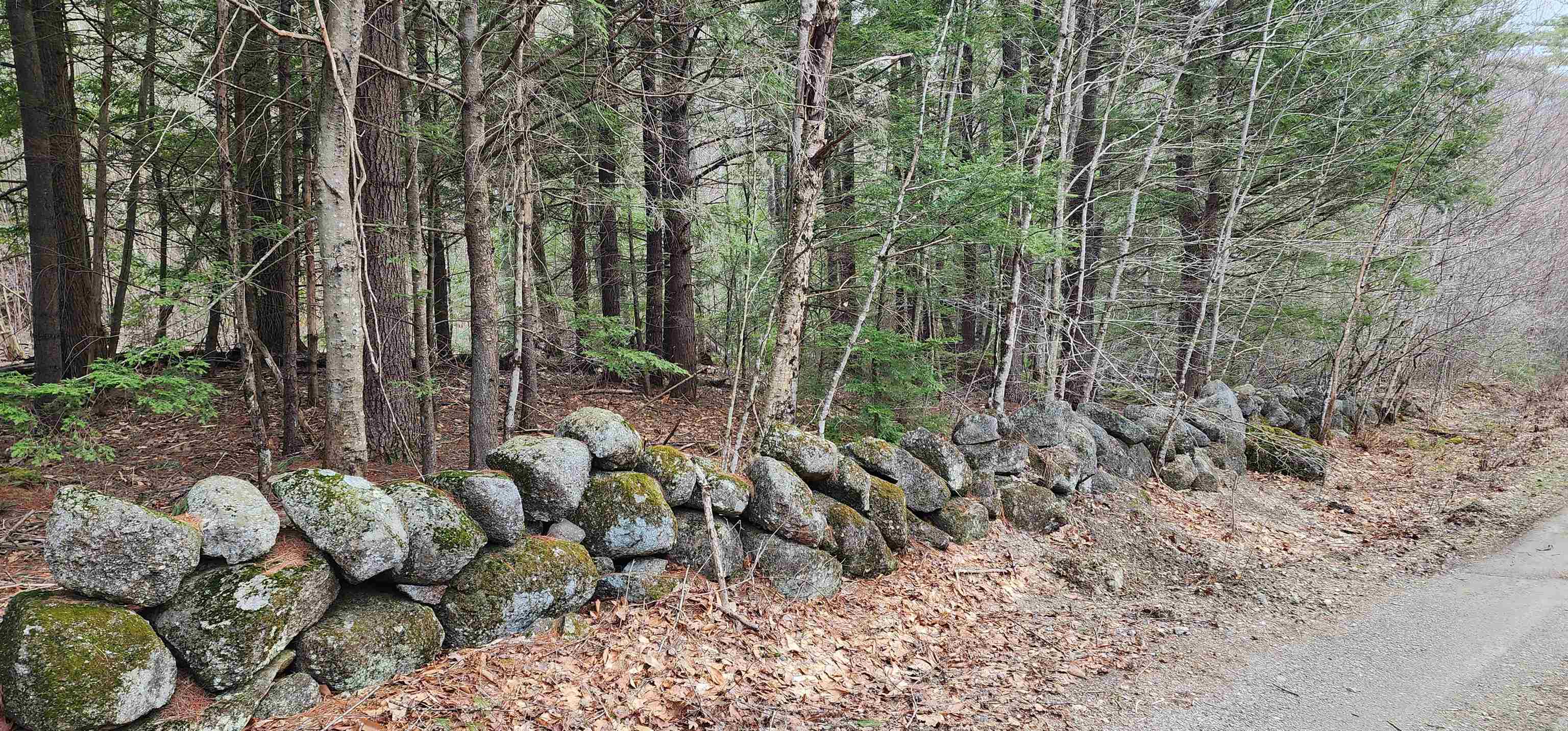 0 Whitney Road Henniker, NH 03242 - Photo 1 of 4