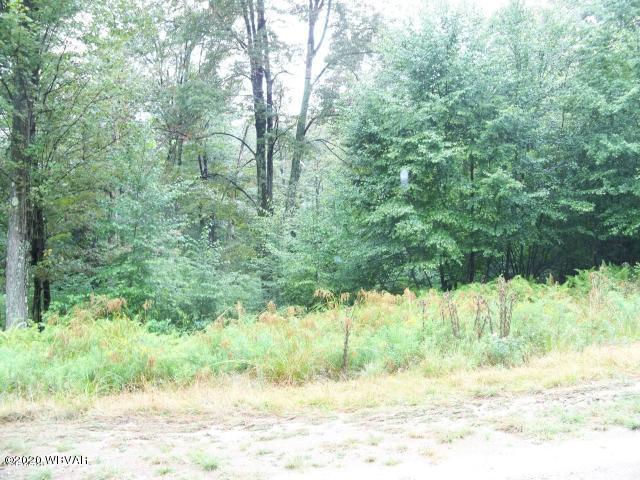 Pole Bridge Road, Unit 20 Muncy Valley, PA 17758 - Photo 1 of 1 Gallery Image 1
