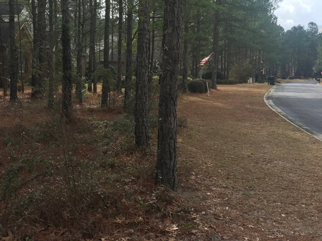 258 Windermere Way Aiken, SC 29803 - Photo 3 of 8