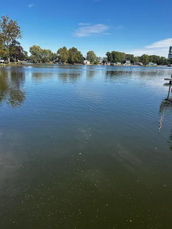 a view of a lake with a city view