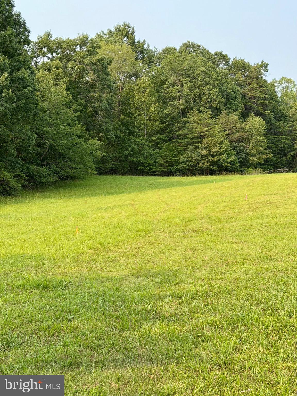 64-56a South Blue Ridge Turnpike Rochelle, VA 22738 - Photo 4 of 4