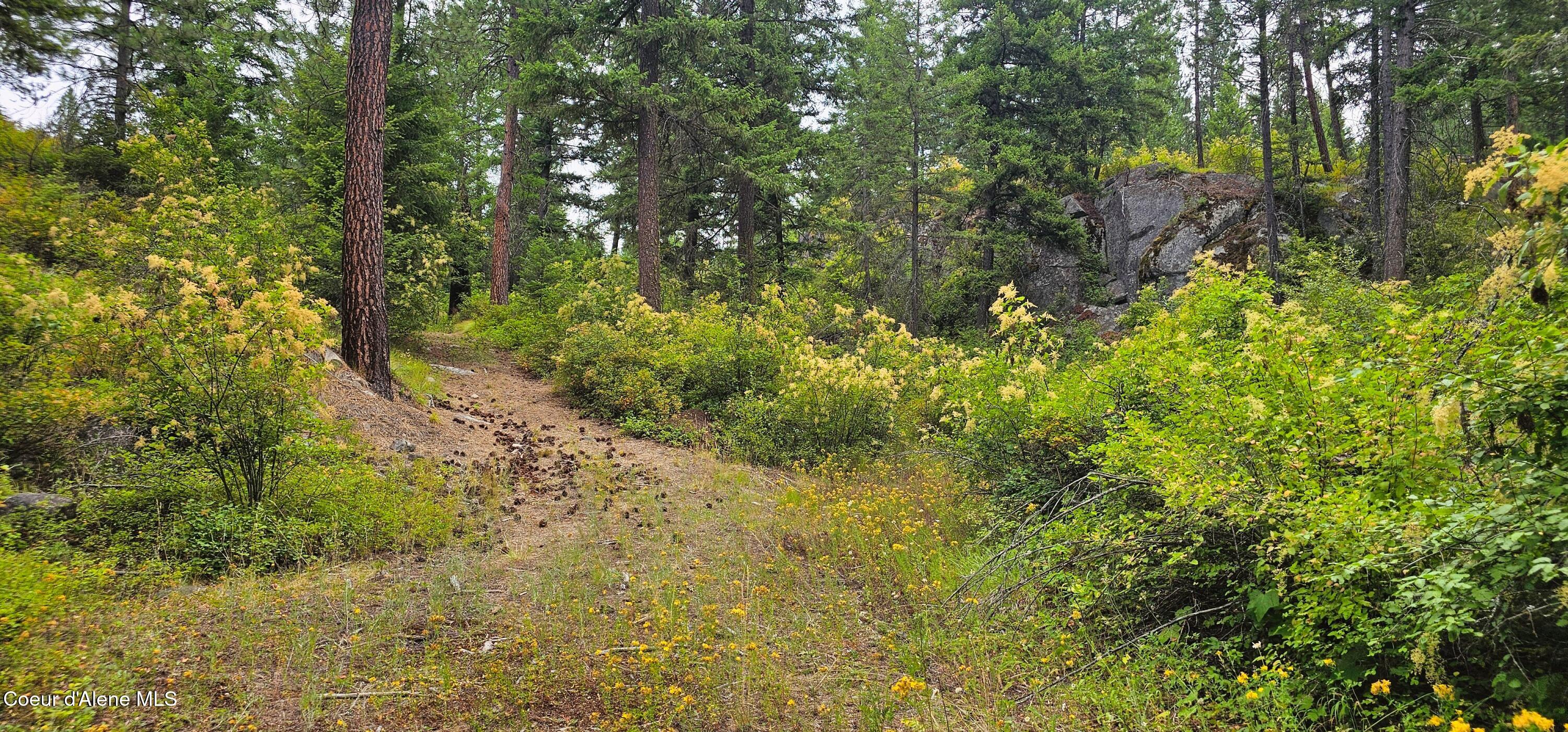 1754 Giles Connection Road Bonners Ferry, ID 83805 - Photo 20 of 26 20260715_094408
