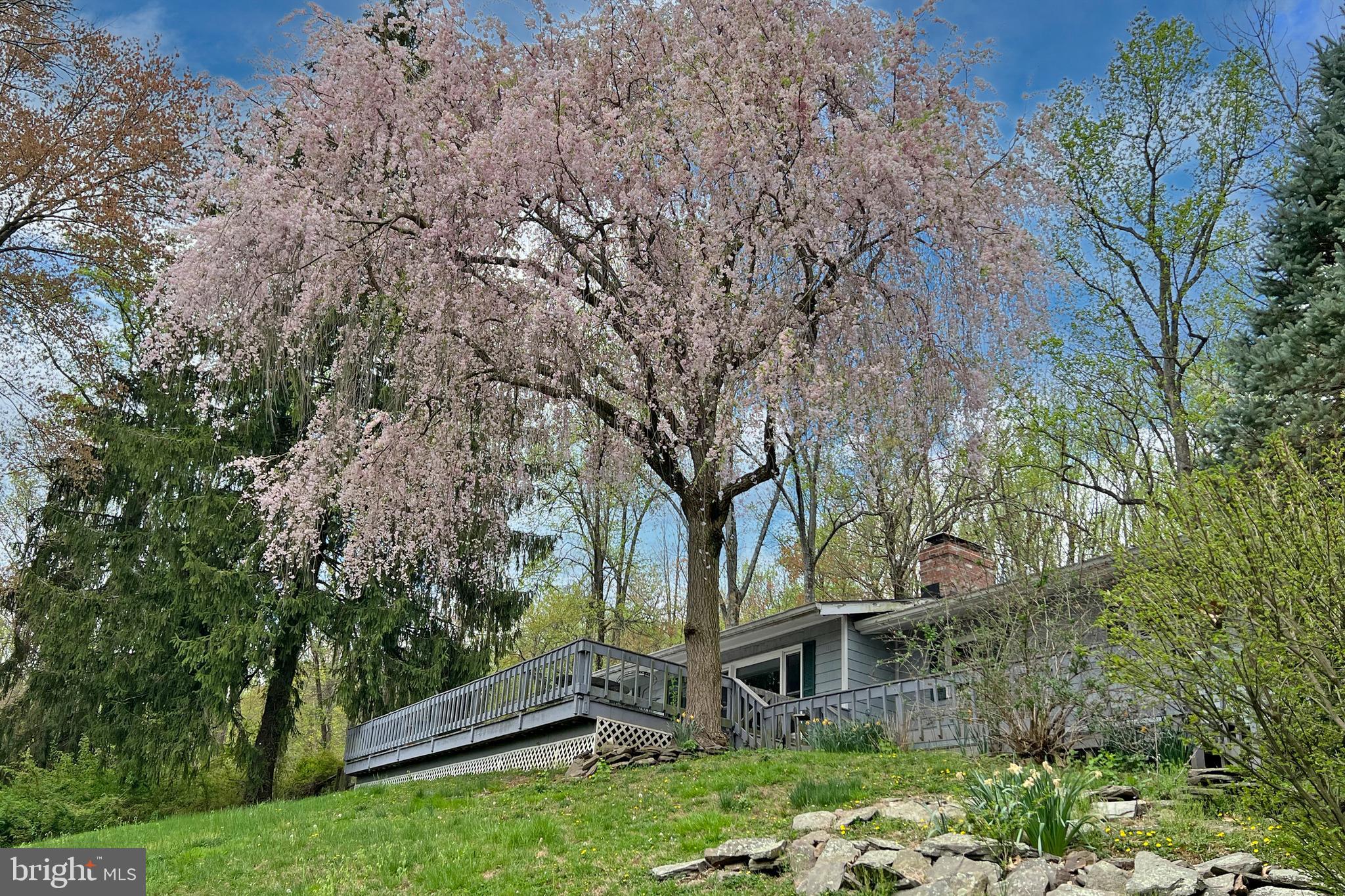 160 Spring Hill Road Skillman, NJ 08558 - Photo 1 of 1 a view of a house with a tree in the background