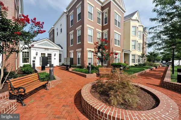 a view of a park with large trees