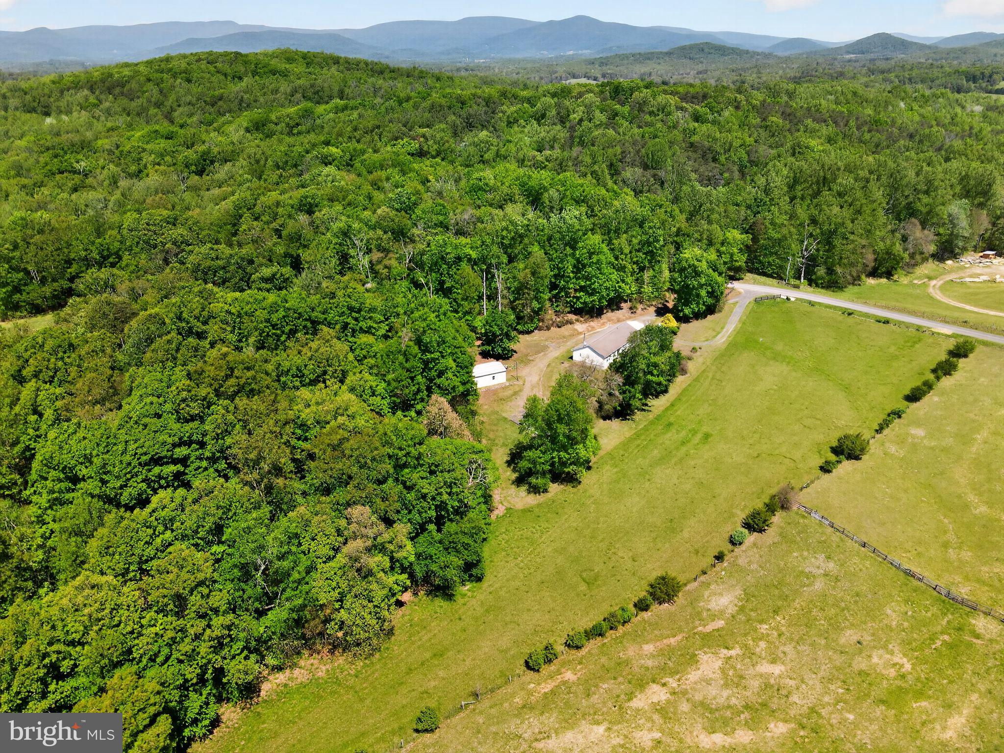 178 Lizzie Mills Road Castleton, VA 22716 - Photo 18 of 40 a view of a big yard with large trees