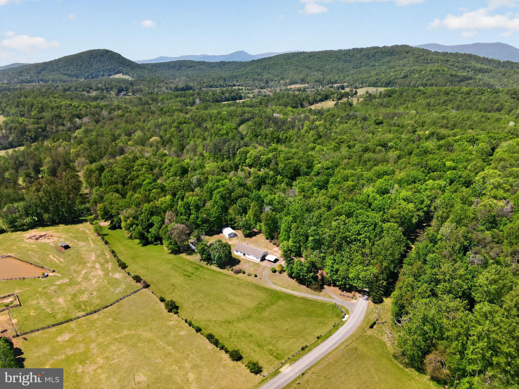 178 Lizzie Mills Road Castleton, VA 22716 - Photo 3 of 40 view of a forest with a mountain