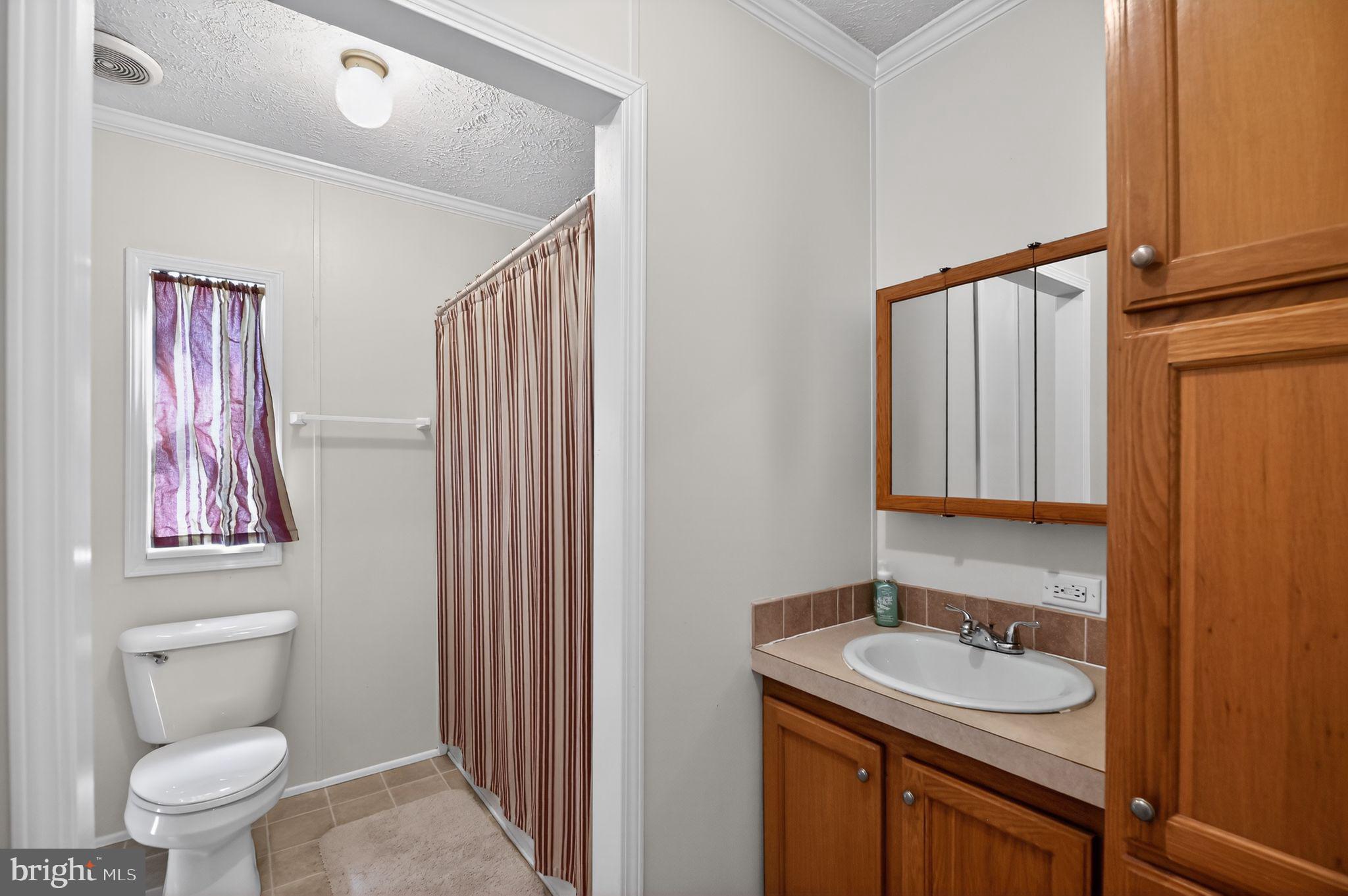 178 Lizzie Mills Road Castleton, VA 22716 - Photo 36 of 40 a bathroom with a sink a toilet and mirror