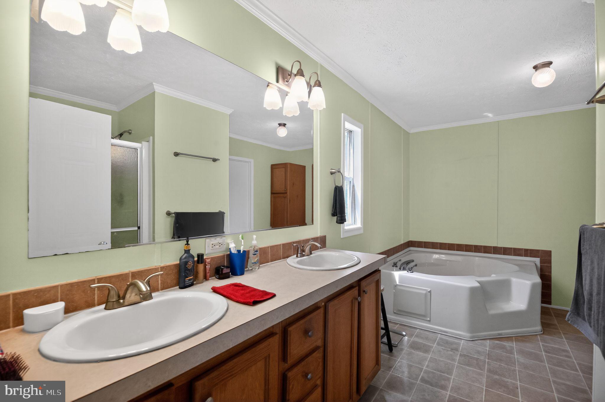 178 Lizzie Mills Road Castleton, VA 22716 - Photo 38 of 40 a bathroom with a sink and a mirror