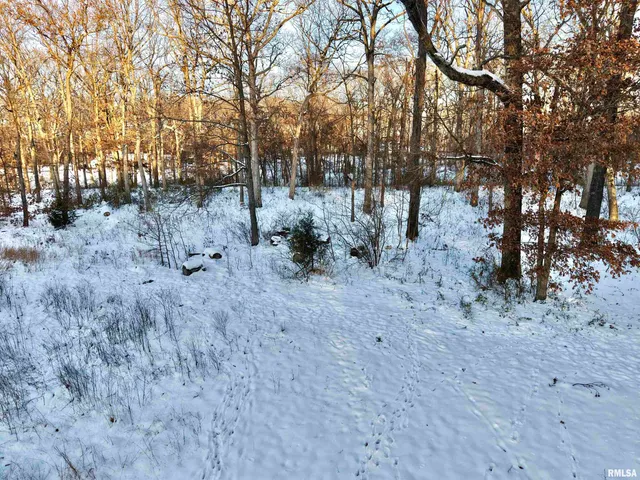 $329,900 | 3831 East State Highway, Shumway, IL 62461