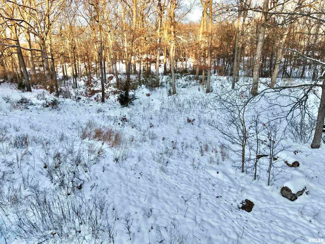 $329,900 | 3831 East State Highway, Shumway, IL 62461