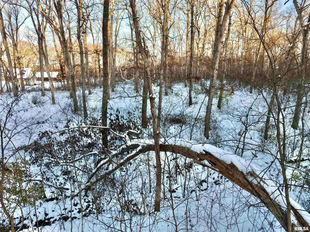 $329,900 | 3831 East State Highway, Shumway, IL 62461