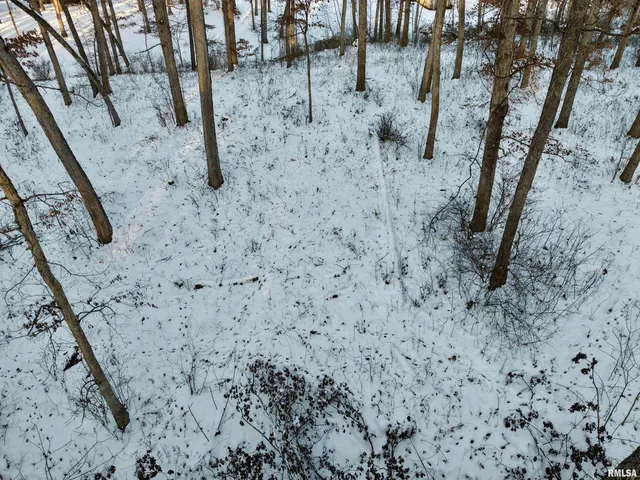 $329,900 | 3831 East State Highway, Shumway, IL 62461