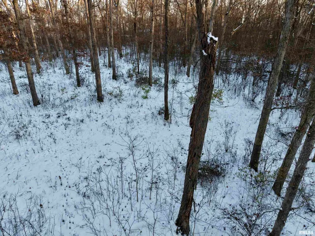 $329,900 | 3831 East State Highway, Shumway, IL 62461