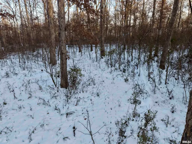 $329,900 | 3831 East State Highway, Shumway, IL 62461