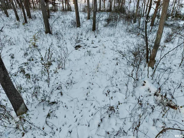 $329,900 | 3831 East State Highway, Shumway, IL 62461