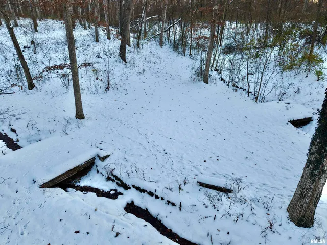 $329,900 | 3831 East State Highway, Shumway, IL 62461