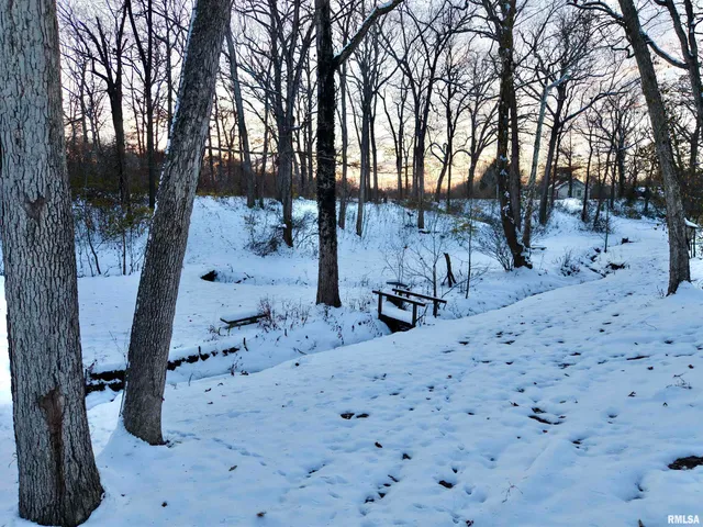 $329,900 | 3831 East State Highway, Shumway, IL 62461