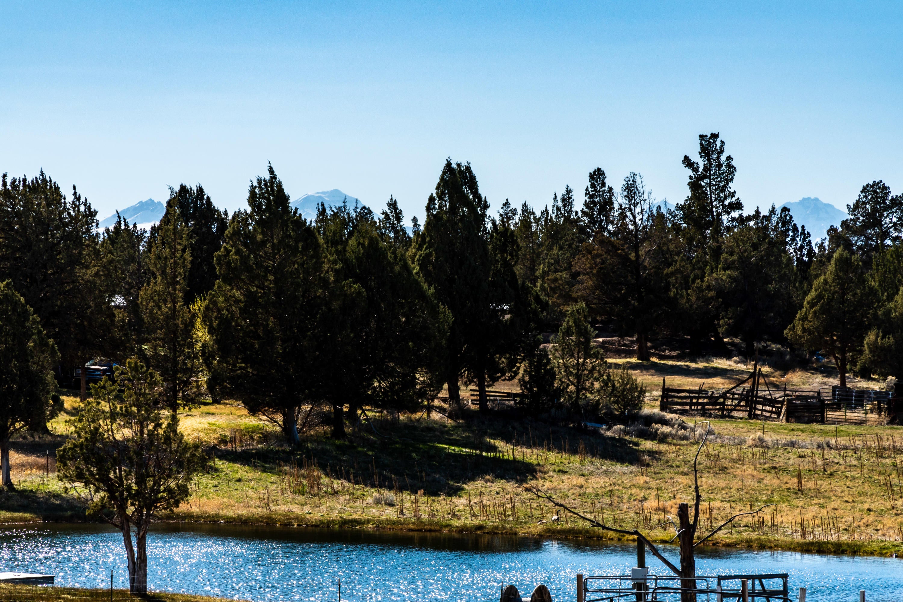 62425 Stenkamp Road Bend, OR 97701 - Photo 46 of 51 62425 Stenkamp Rd, Bend-78