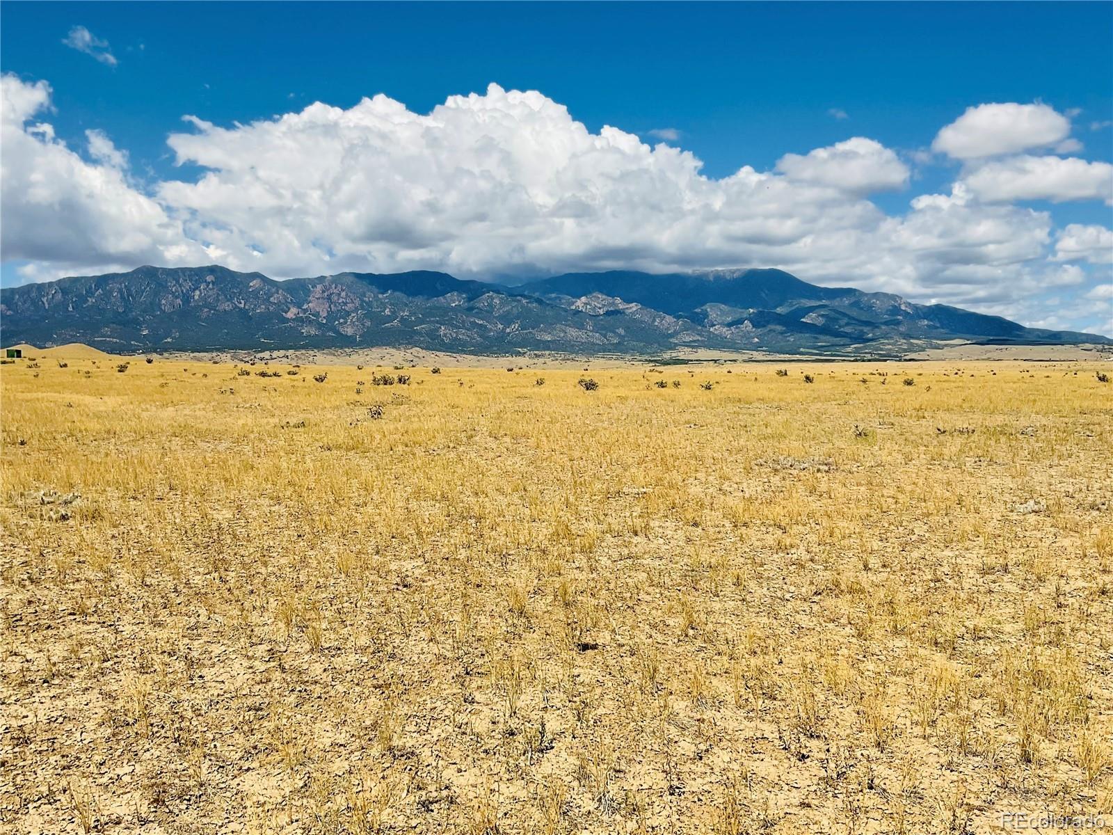 a view of beach and ocean