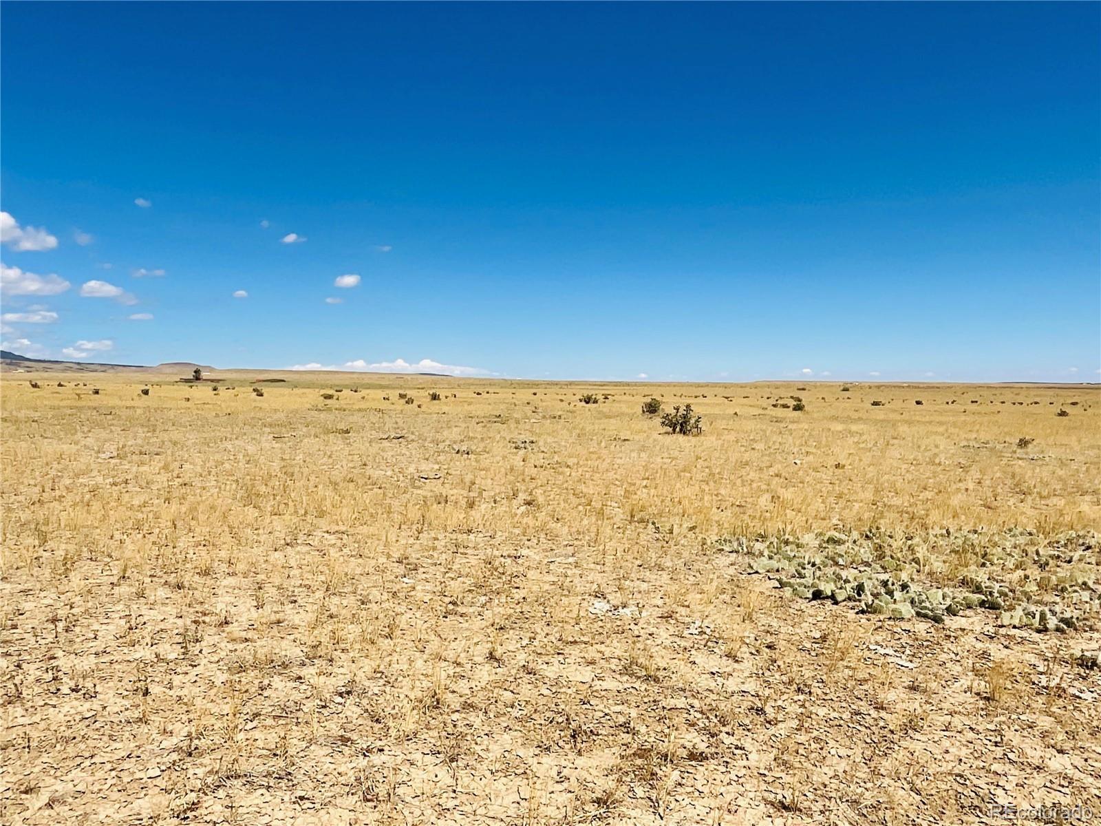 54 Colorado Buffalo Ranch Rye, CO 81069 - Photo 11 of 20 a view of an ocean