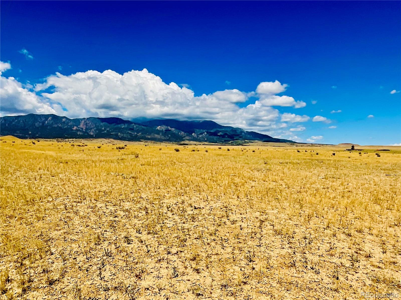54 Colorado Buffalo Ranch Rye, CO 81069 - Photo 12 of 20