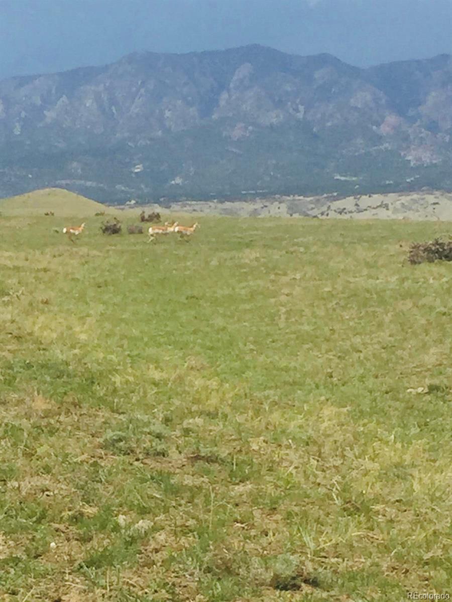 54 Colorado Buffalo Ranch Rye, CO 81069 - Photo 16 of 20 a view of an ocean