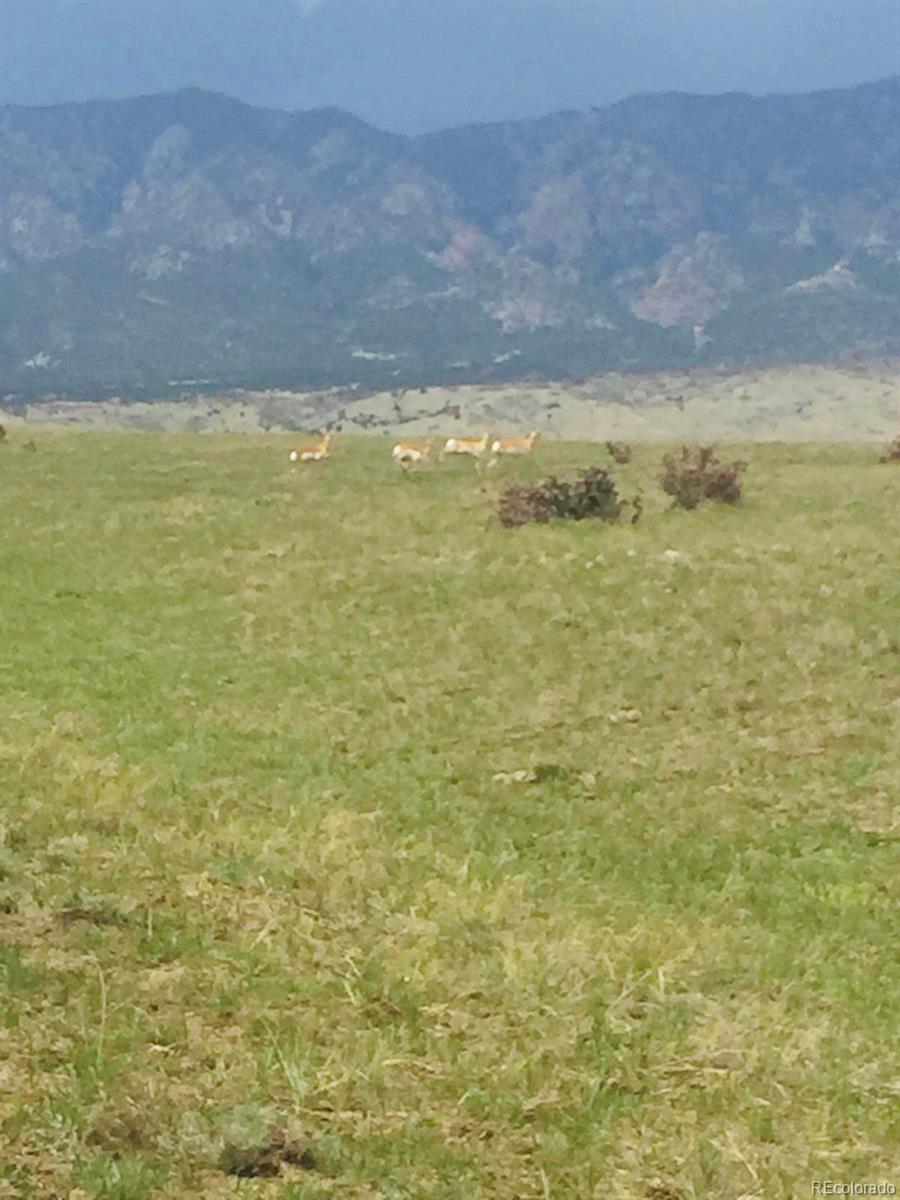 54 Colorado Buffalo Ranch Rye, CO 81069 - Photo 18 of 20 a view of an ocean