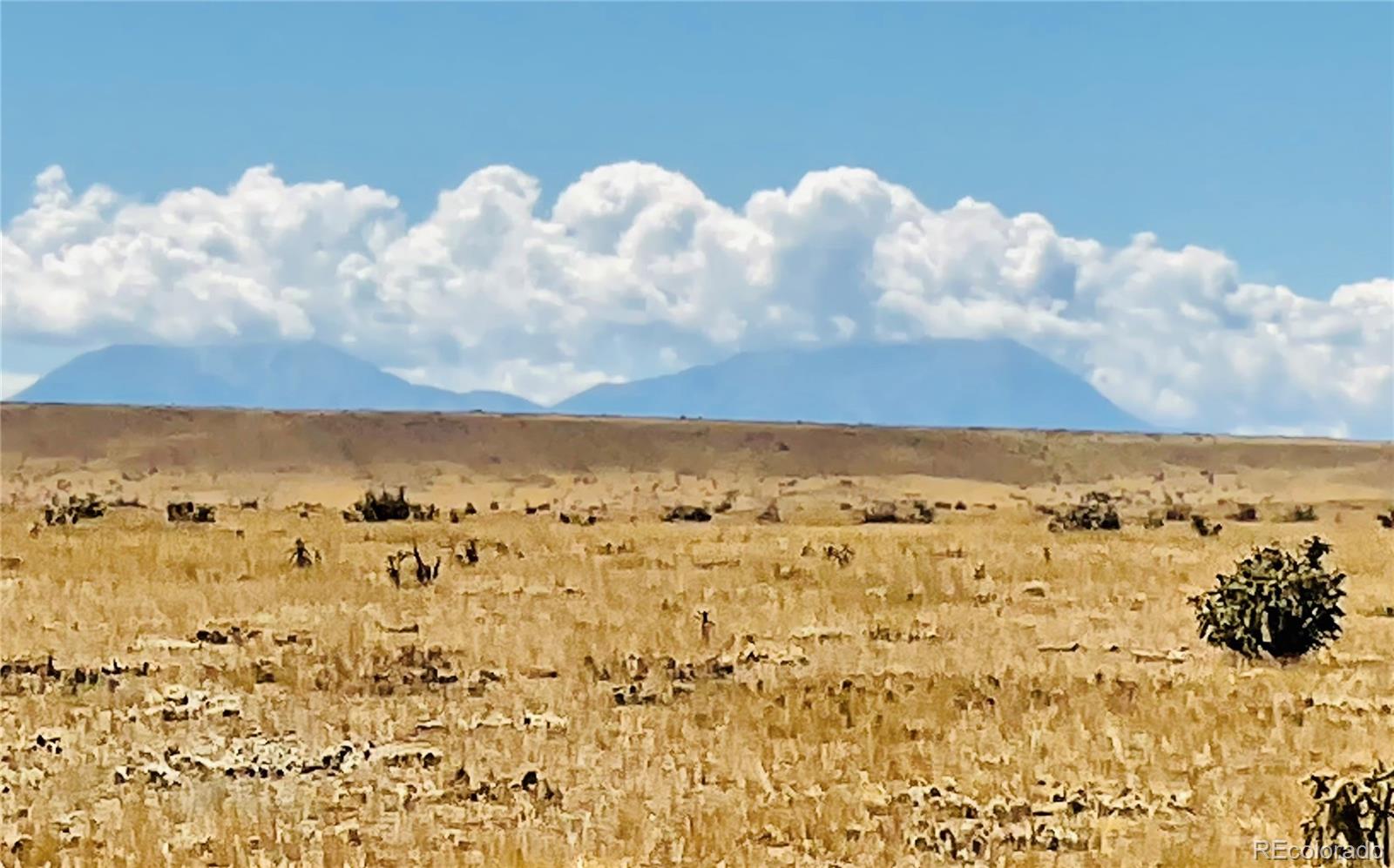 54 Colorado Buffalo Ranch Rye, CO 81069 - Photo 3 of 20 a view of city and mountain