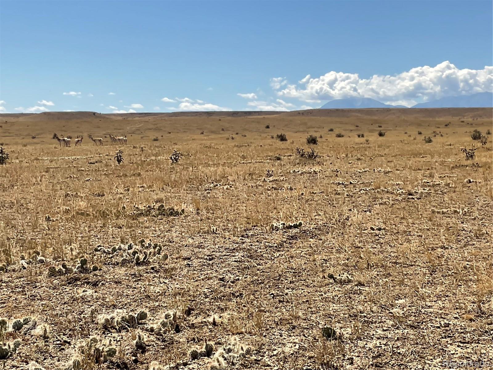 54 Colorado Buffalo Ranch Rye, CO 81069 - Photo 4 of 20 a view of an ocean beach and mountain