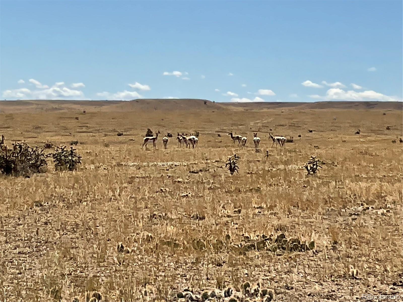54 Colorado Buffalo Ranch Rye, CO 81069 - Photo 5 of 20 a view of city and ocean