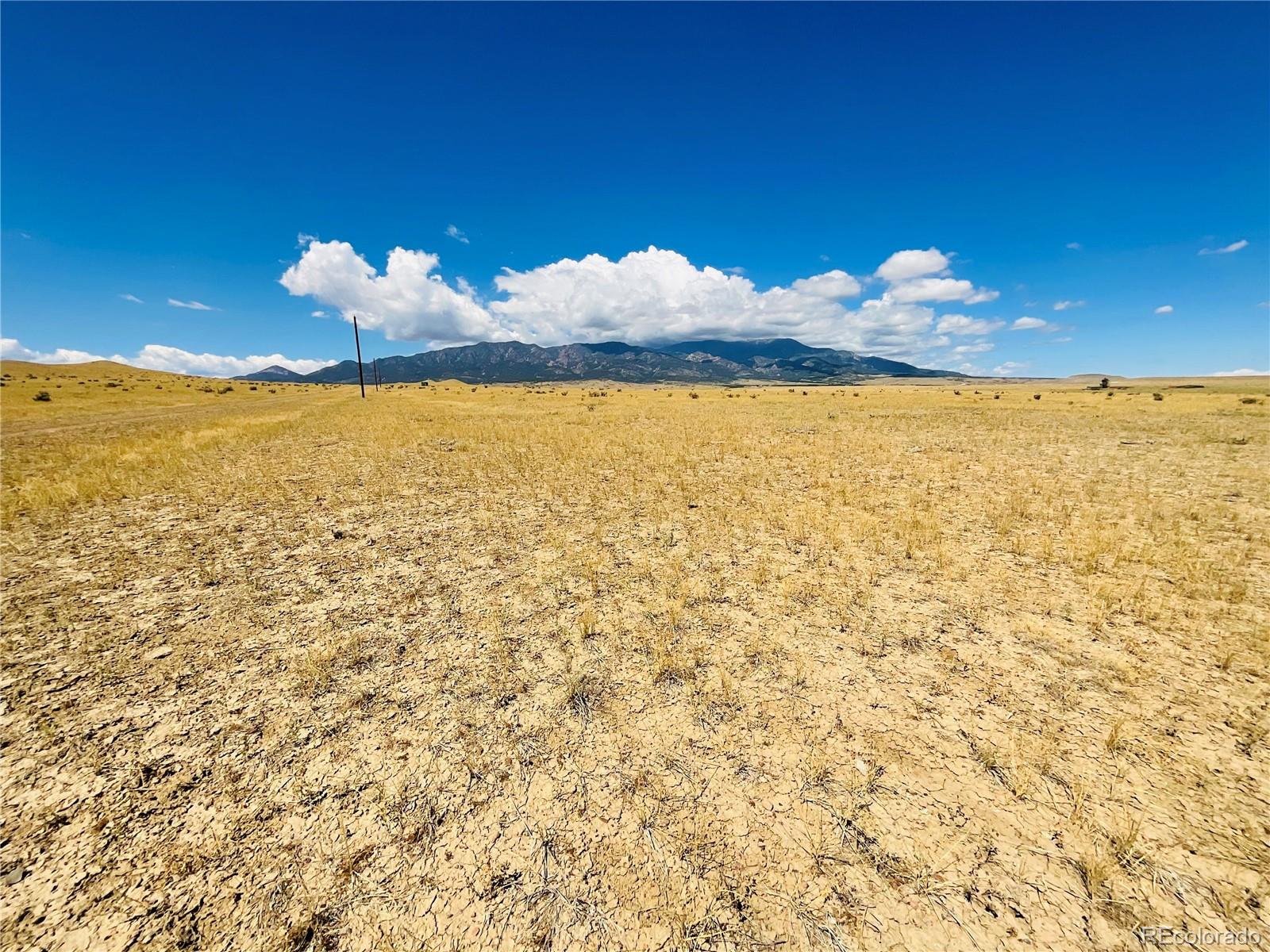 54 Colorado Buffalo Ranch Rye, CO 81069 - Photo 10 of 20