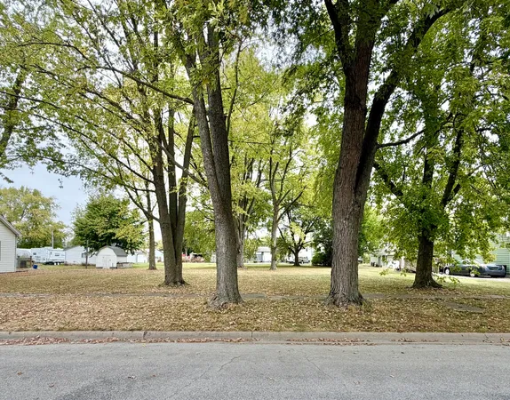a tree in the middle of a yard