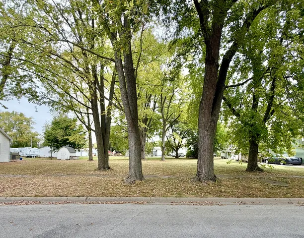 a tree in the middle of a yard