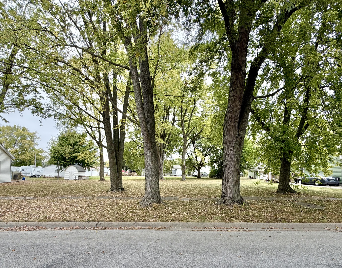 a tree in the middle of a yard
