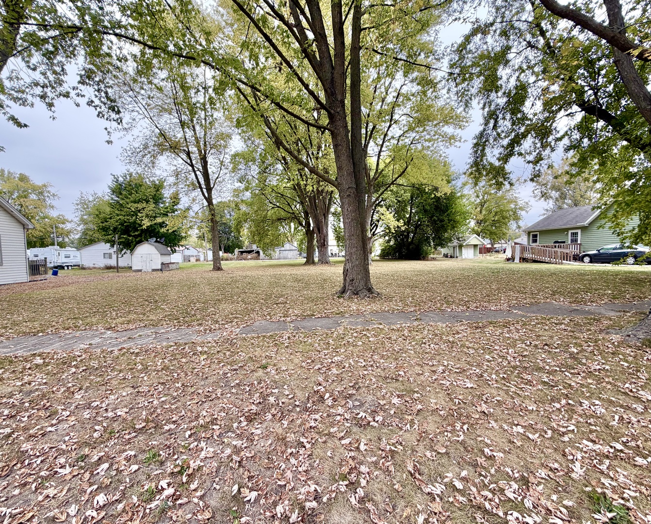 313 Orchard Street Forrest, IL 61741 - Photo 2 of 3 a backyard of a house with lots of green space