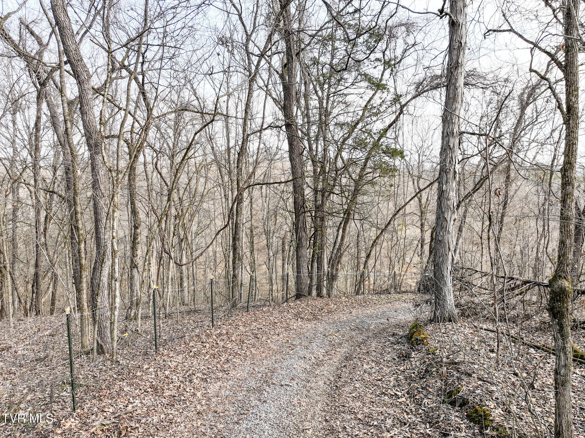 13.94-acre Fish Hatchery Road, Unit P/O 38 Mohawk, TN 37810 - Photo 34 of 49 33 (2)