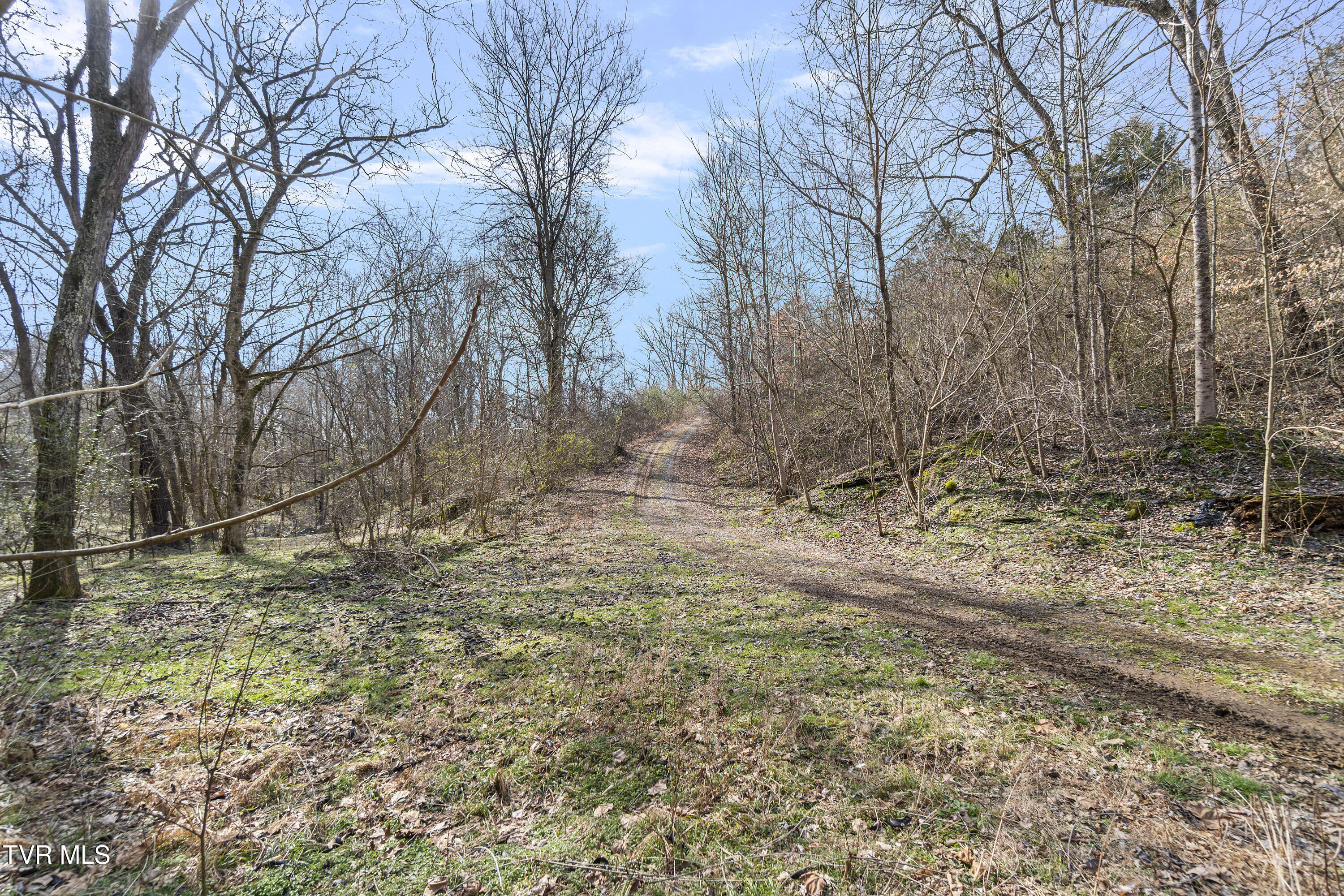 13.94-acre Fish Hatchery Road, Unit P/O 38 Mohawk, TN 37810 - Photo 40 of 49 605