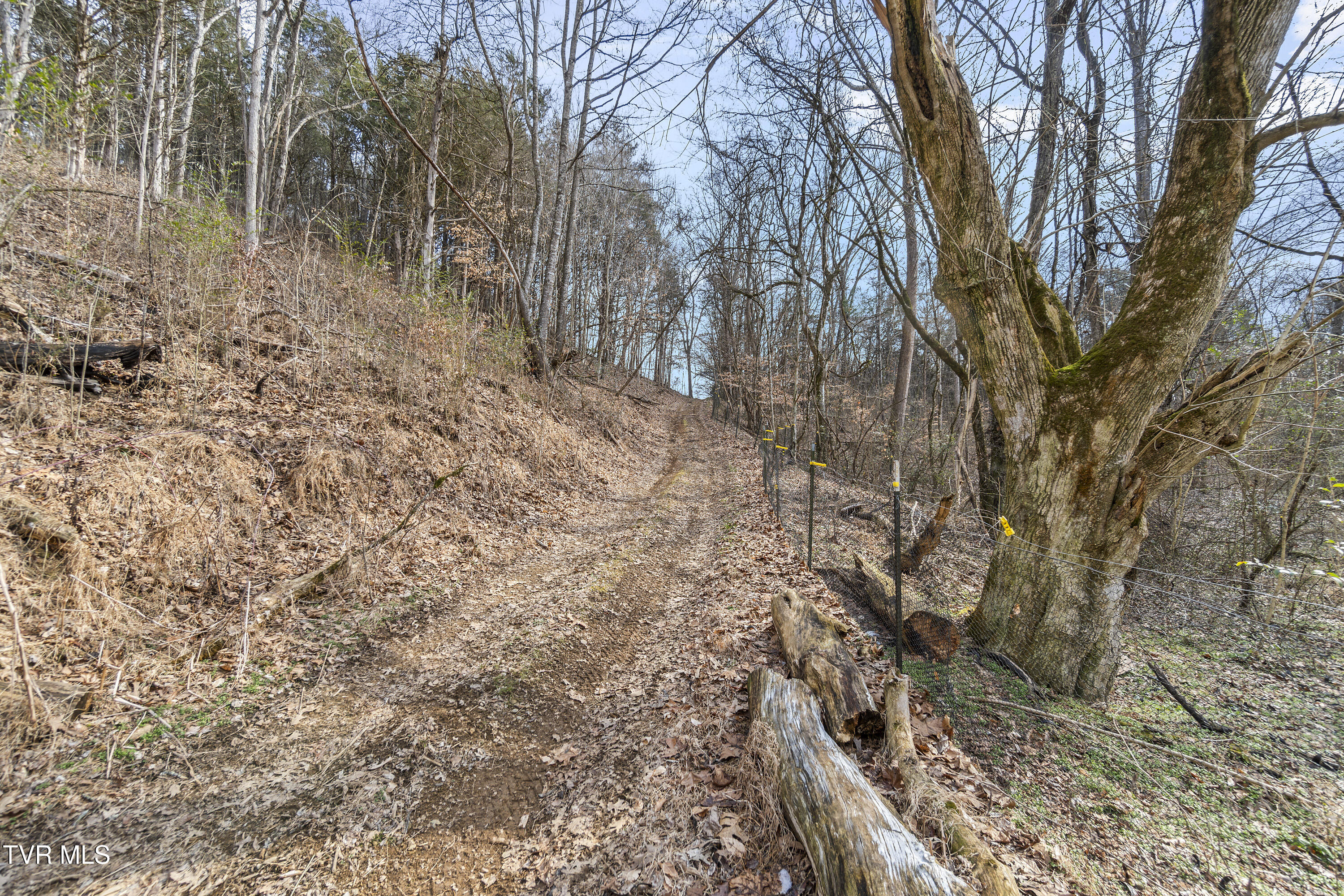 13.94-acre Fish Hatchery Road, Unit P/O 38 Mohawk, TN 37810 - Photo 41 of 49 607