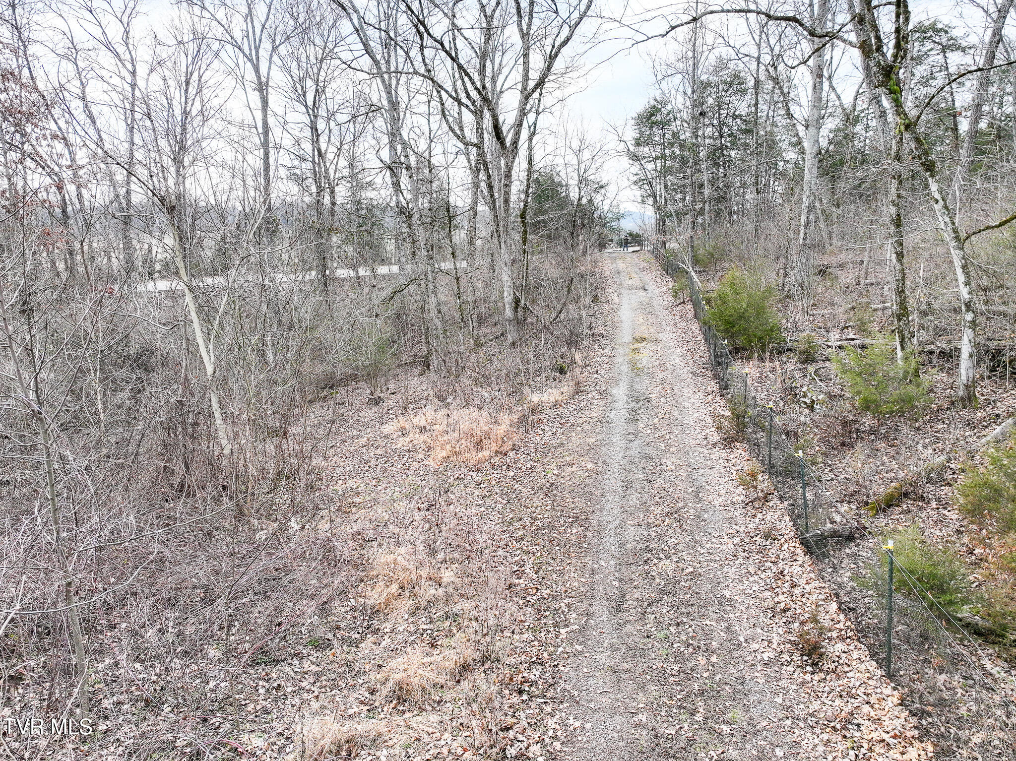13.94-acre Fish Hatchery Road, Unit P/O 38 Mohawk, TN 37810 - Photo 43 of 49 703