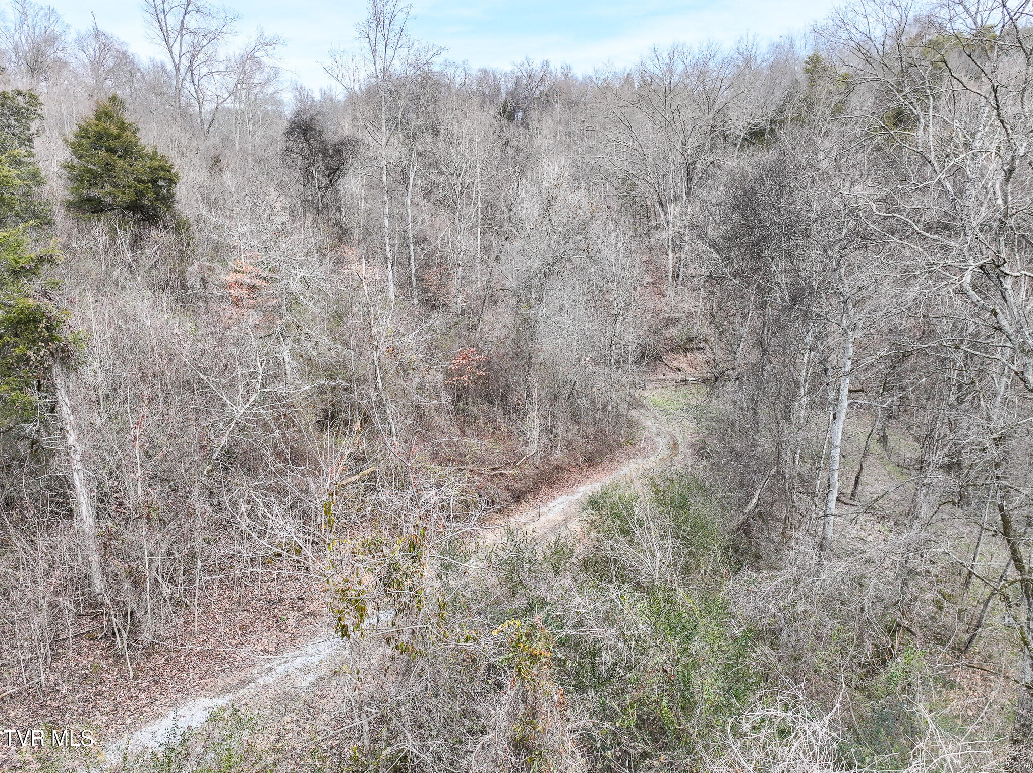 13.94-acre Fish Hatchery Road, Unit P/O 38 Mohawk, TN 37810 - Photo 45 of 49 706