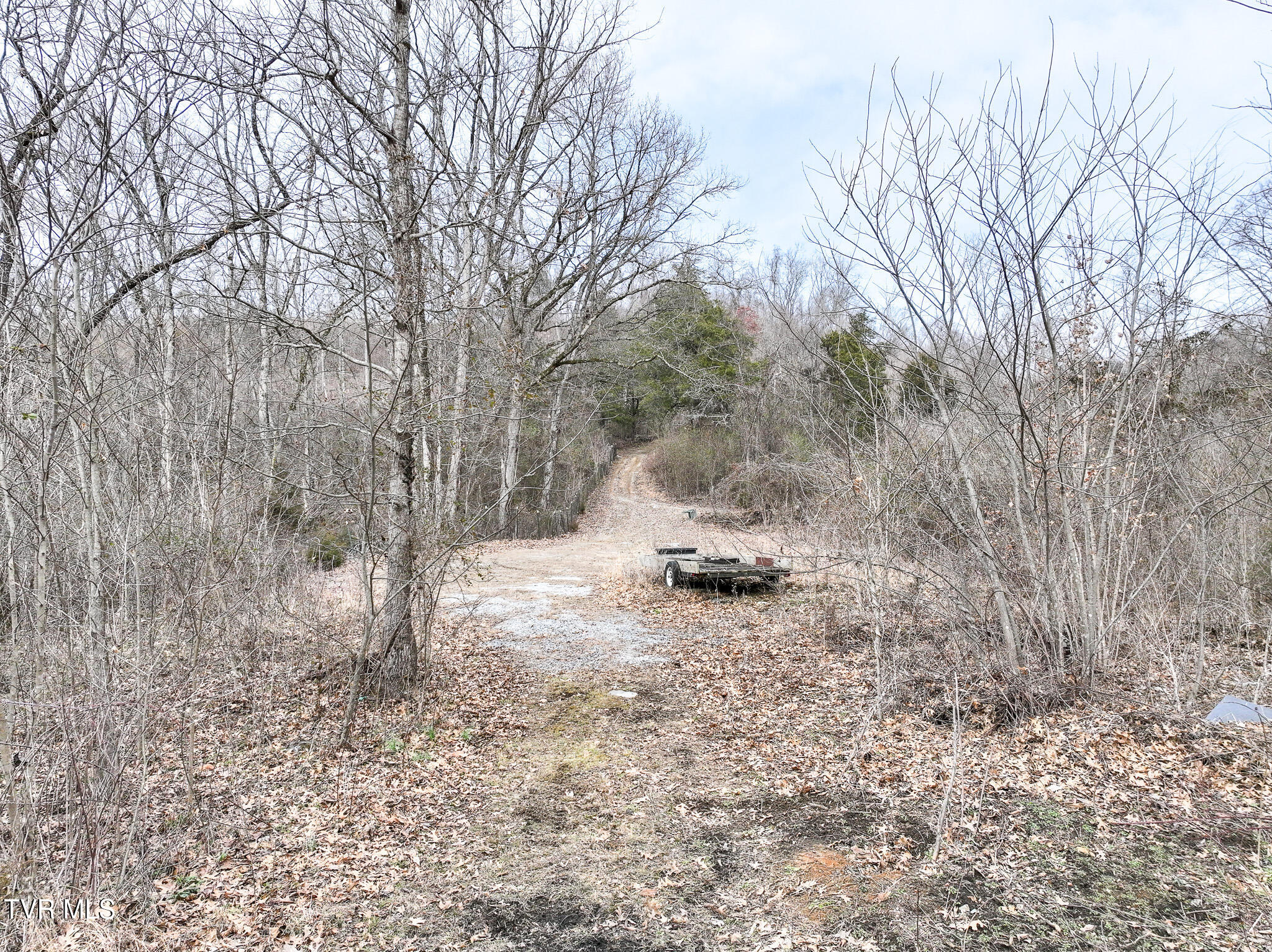 13.94-acre Fish Hatchery Road, Unit P/O 38 Mohawk, TN 37810 - Photo 47 of 49 800