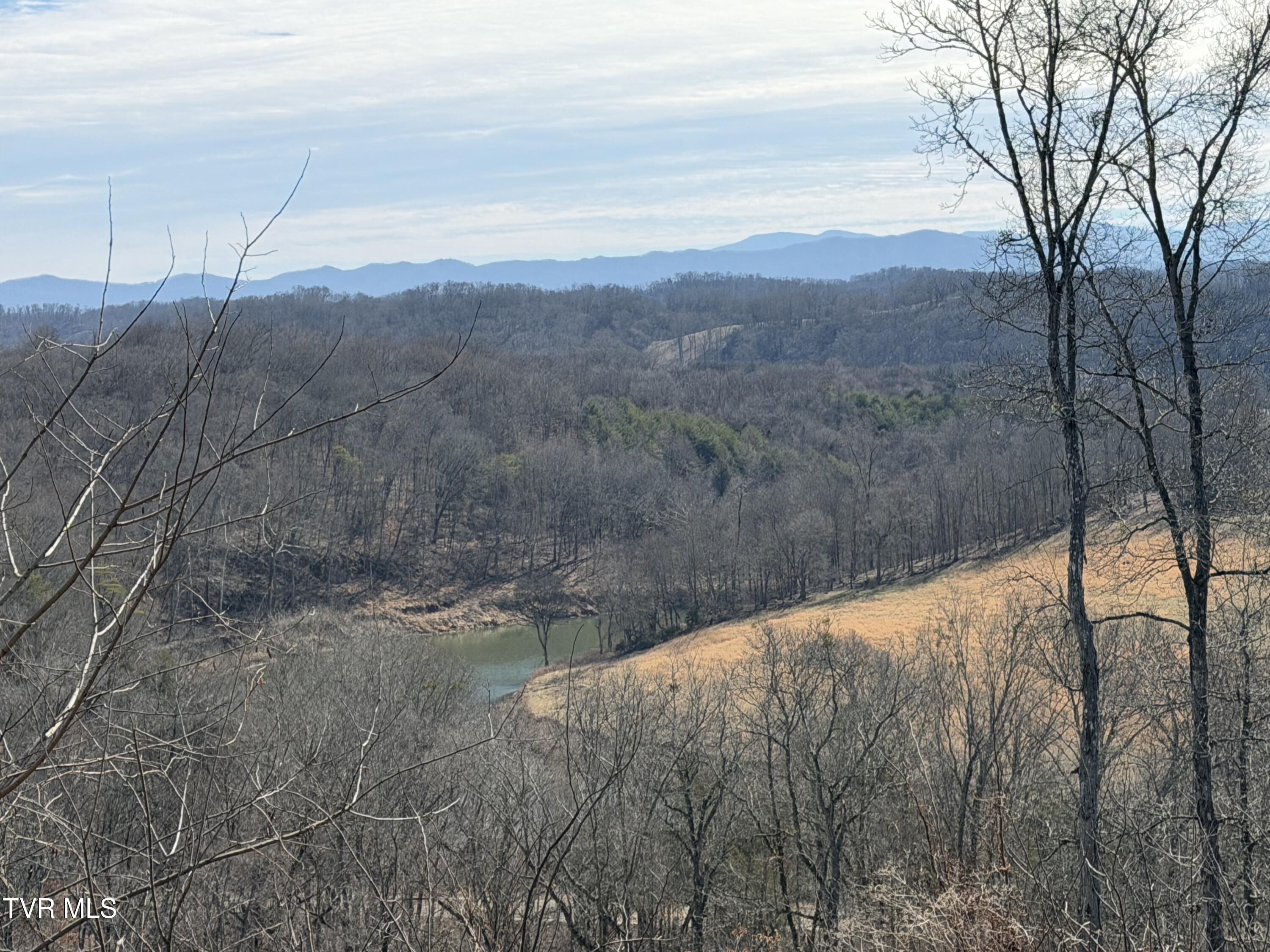 13.94-acre Fish Hatchery Road, Unit P/O 38 Mohawk, TN 37810 - Photo 5 of 49 5