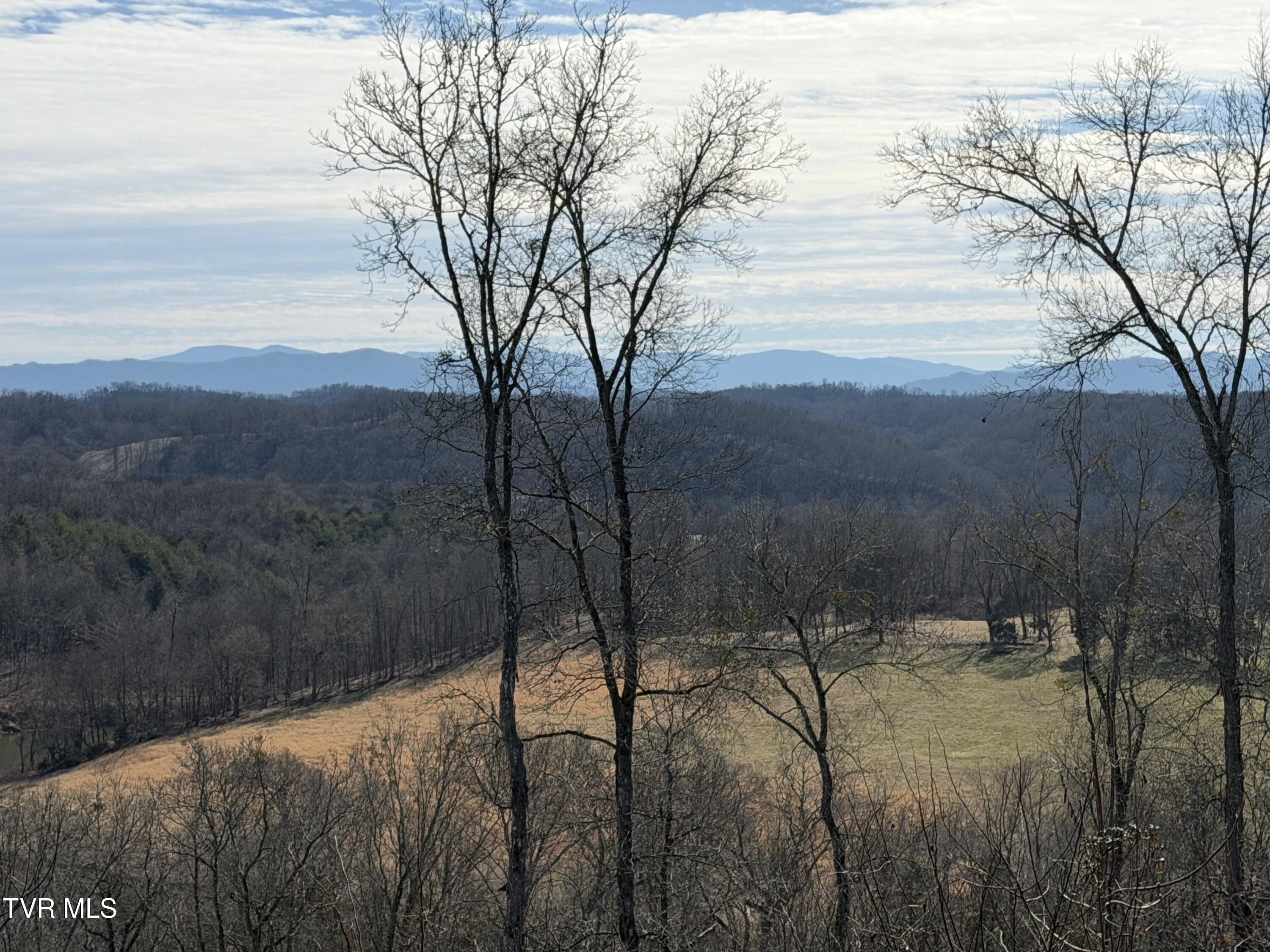 13.94-acre Fish Hatchery Road, Unit P/O 38 Mohawk, TN 37810 - Photo 6 of 49 6