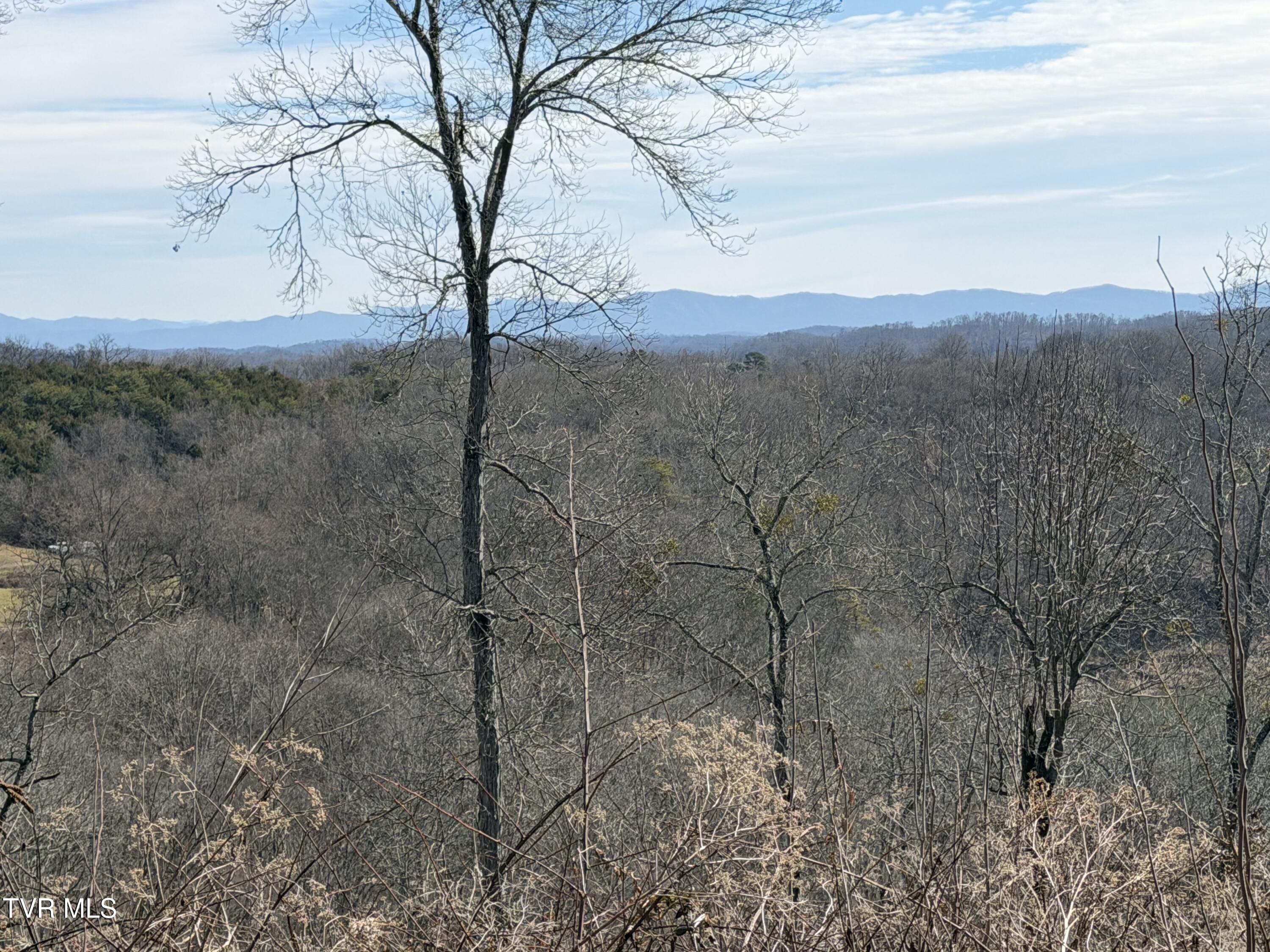 13.94-acre Fish Hatchery Road, Unit P/O 38 Mohawk, TN 37810 - Photo 7 of 49 7